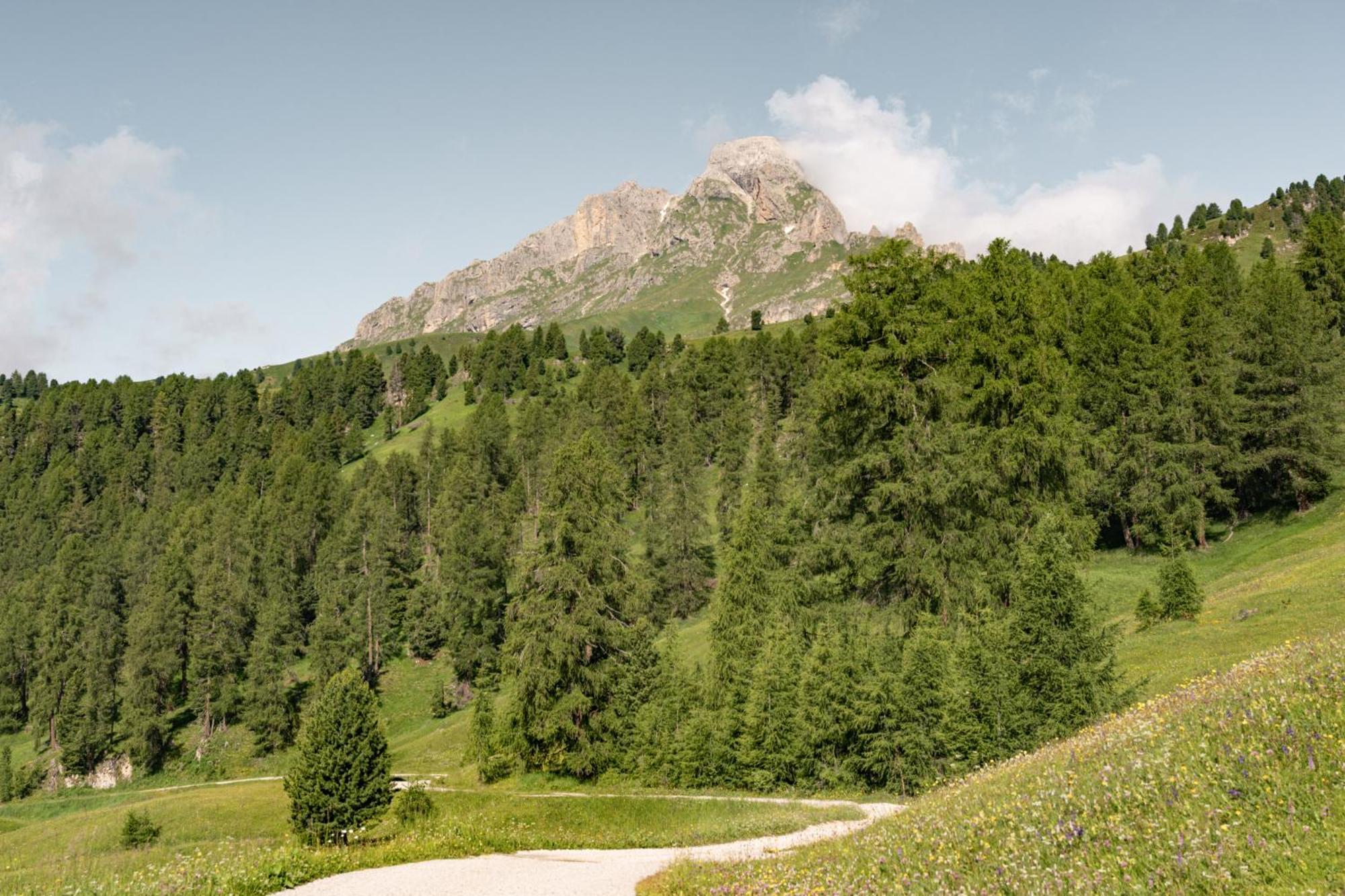 Ciasa Iachin - Dolomites Dream Retreat Apartment San Martino in Badia Exterior photo