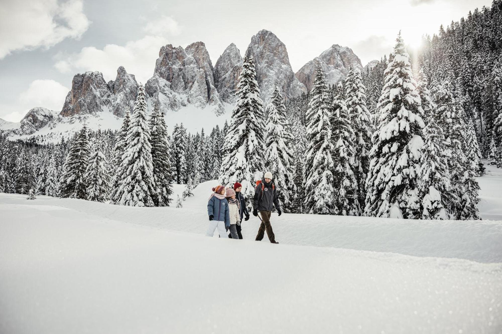 Ciasa Iachin - Dolomites Dream Retreat Apartment San Martino in Badia Exterior photo
